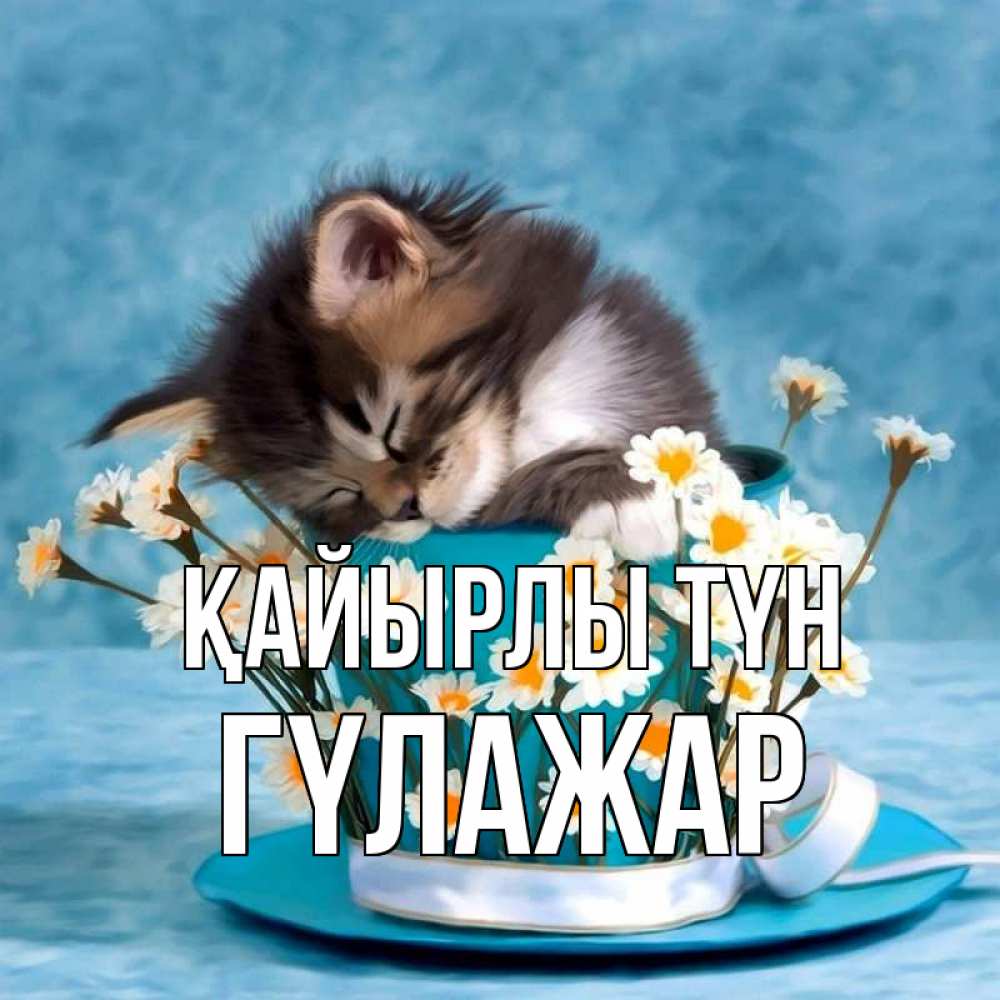 Күн сайын ашық хат с именем, ГҮЛАЖАР Қайырлы түн котенок спит в кружке с блюдцем Онлайн тегін жүктеп алу тілектері бар керемет карта 