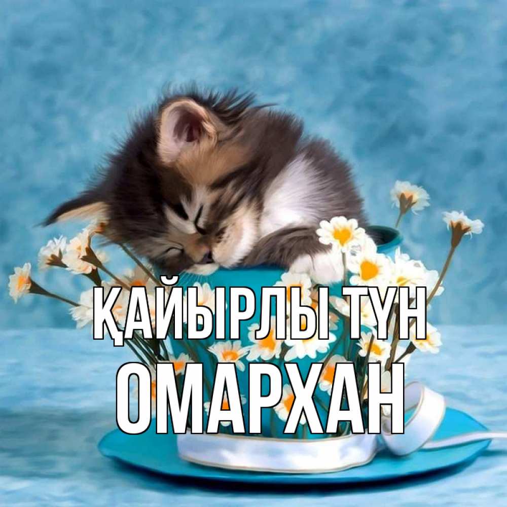Күн сайын ашық хат с именем, ОМАРХАН Қайырлы түн котенок спит в кружке с блюдцем Онлайн тегін жүктеп алу тілектері бар керемет карта 