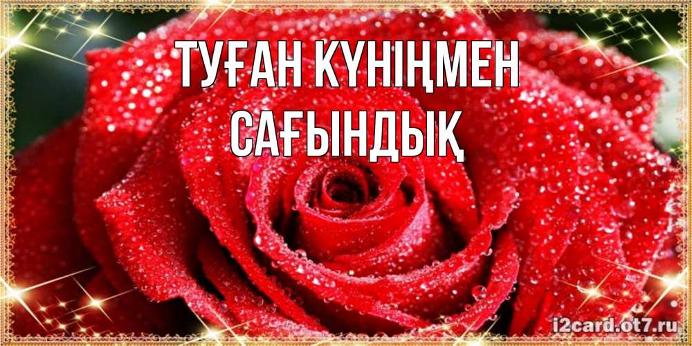 Күн сайын ашық хат с именем, САҒЫНДЫҚ Туған күніңмен роса и роза. открытка с красивой розой Онлайн тегін жүктеп алу тілектері бар керемет карта 