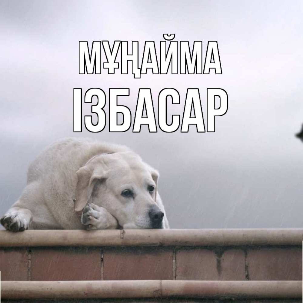 Күн сайын ашық хат с именем, Ізбасар Мұңайма белый пес 1 Онлайн тегін жүктеп алу тілектері бар керемет карта 