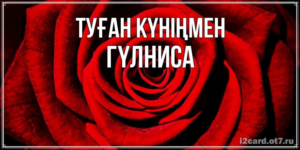 Күн сайын ашық хат с именем, ГҮЛНИСА Туған күніңмен алая роза Онлайн тегін жүктеп алу тілектері бар керемет карта 
