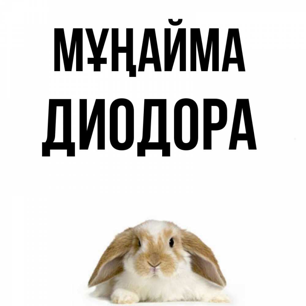 Күн сайын ашық хат с именем, Диодора Мұңайма коричнево белый заяц с большими ушками Онлайн тегін жүктеп алу тілектері бар керемет карта 