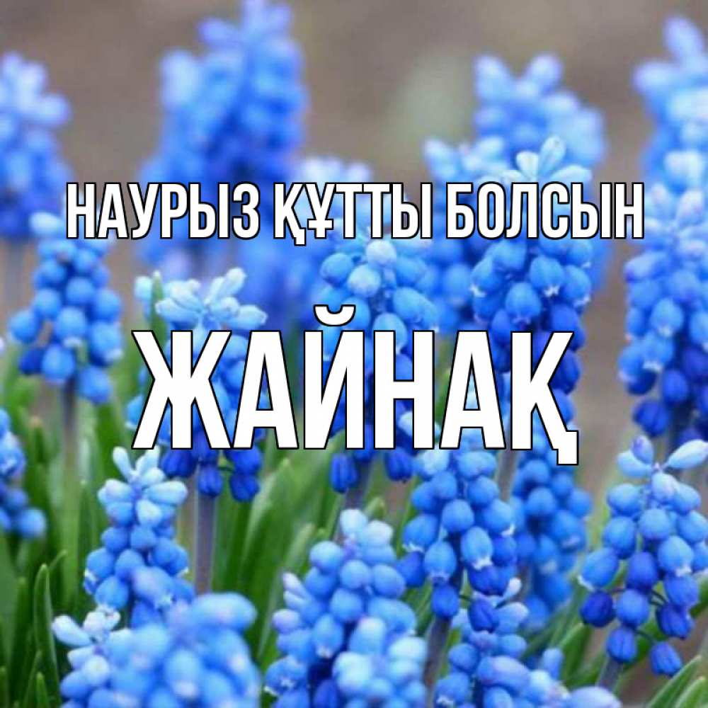 Күн сайын ашық хат с именем, Жайнақ Наурыз құтты болсын Поздравительная открытка для женщин с цветами на праздничную дату Онлайн тегін жүктеп алу тілектері бар керемет карта 
