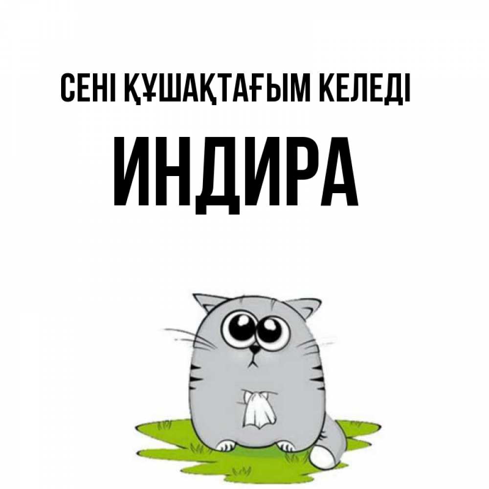 Күн сайын ашық хат с именем, ИНДИРА сені құшақтағым келеді котик теребит платочек сидя на травке Онлайн тегін жүктеп алу тілектері бар керемет карта 