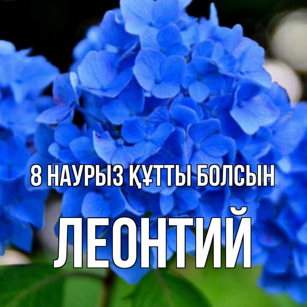 Күн сайын ашық хат с именем, Леонтий 8 наурыз құтты болсын синие цветы Онлайн тегін жүктеп алу тілектері бар керемет карта 