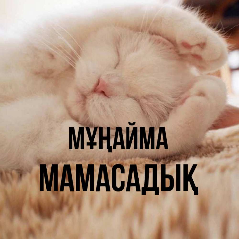 Күн сайын ашық хат с именем, МАМАСАДЫҚ Мұңайма Котенок спит Онлайн тегін жүктеп алу тілектері бар керемет карта 