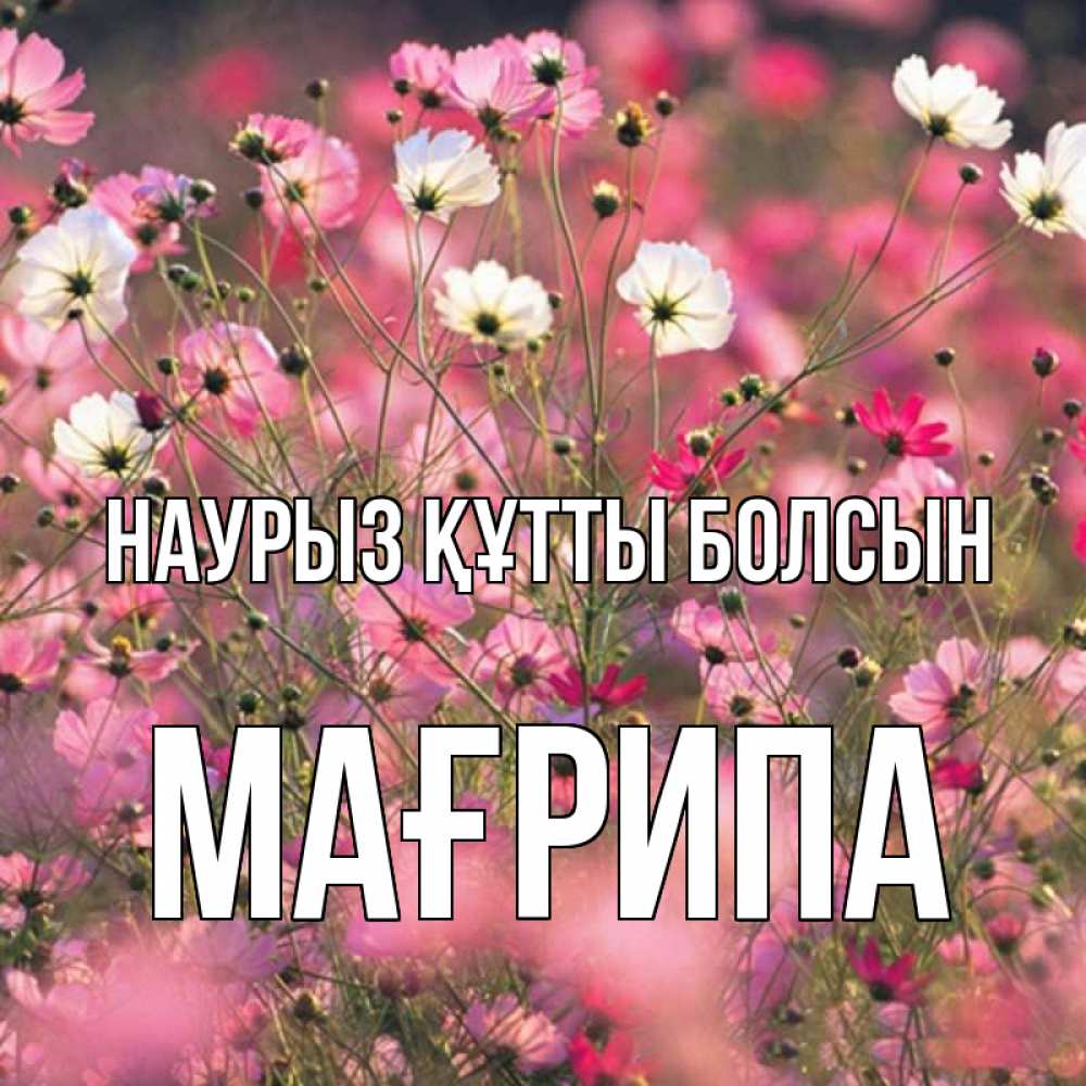 Күн сайын ашық хат с именем, МАҒРИПА Наурыз құтты болсын красиво 1 Онлайн тегін жүктеп алу тілектері бар керемет карта 