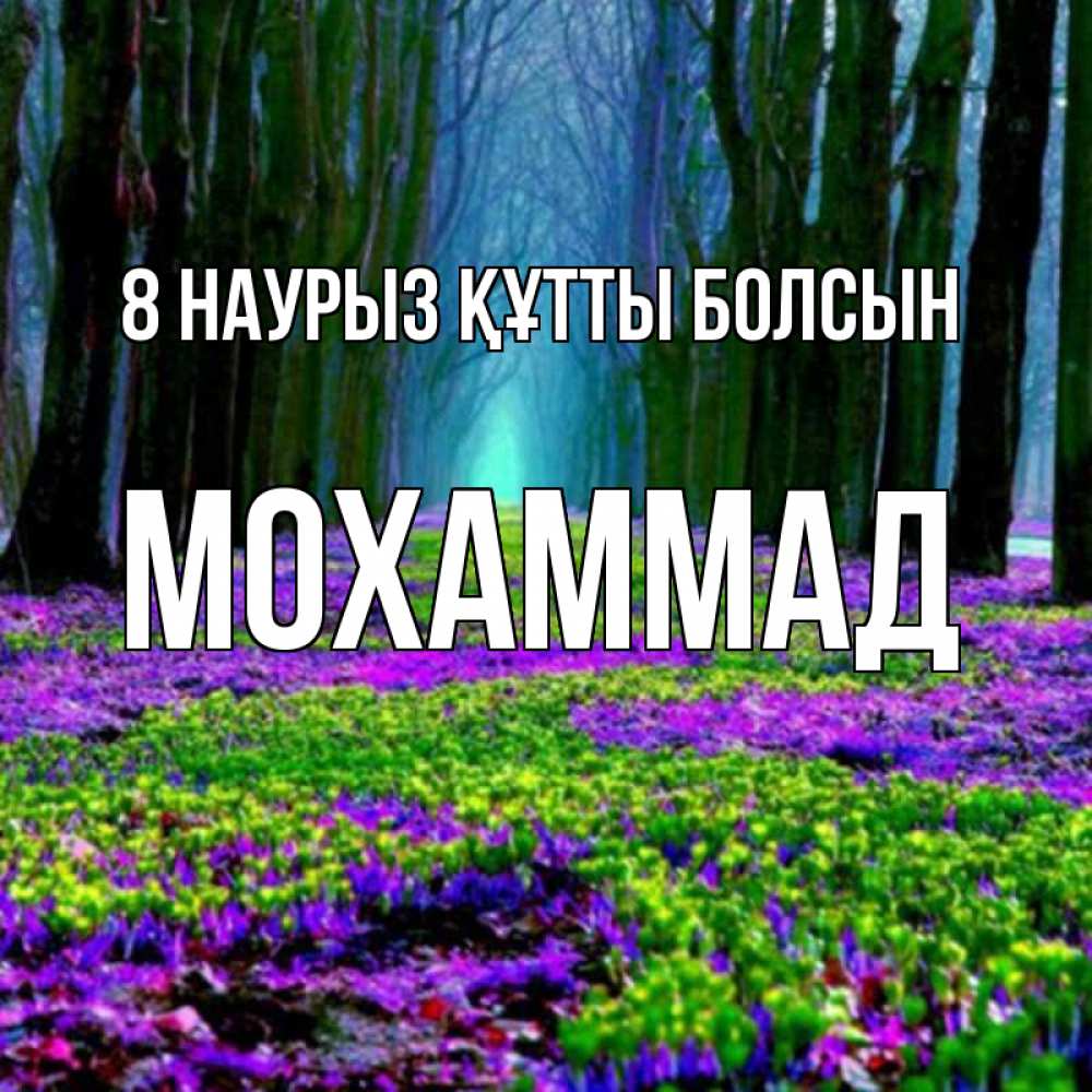 Күн сайын ашық хат с именем, Мохаммад 8 наурыз құтты болсын фиолетовые цветы в лесу 1 Онлайн тегін жүктеп алу тілектері бар керемет карта 