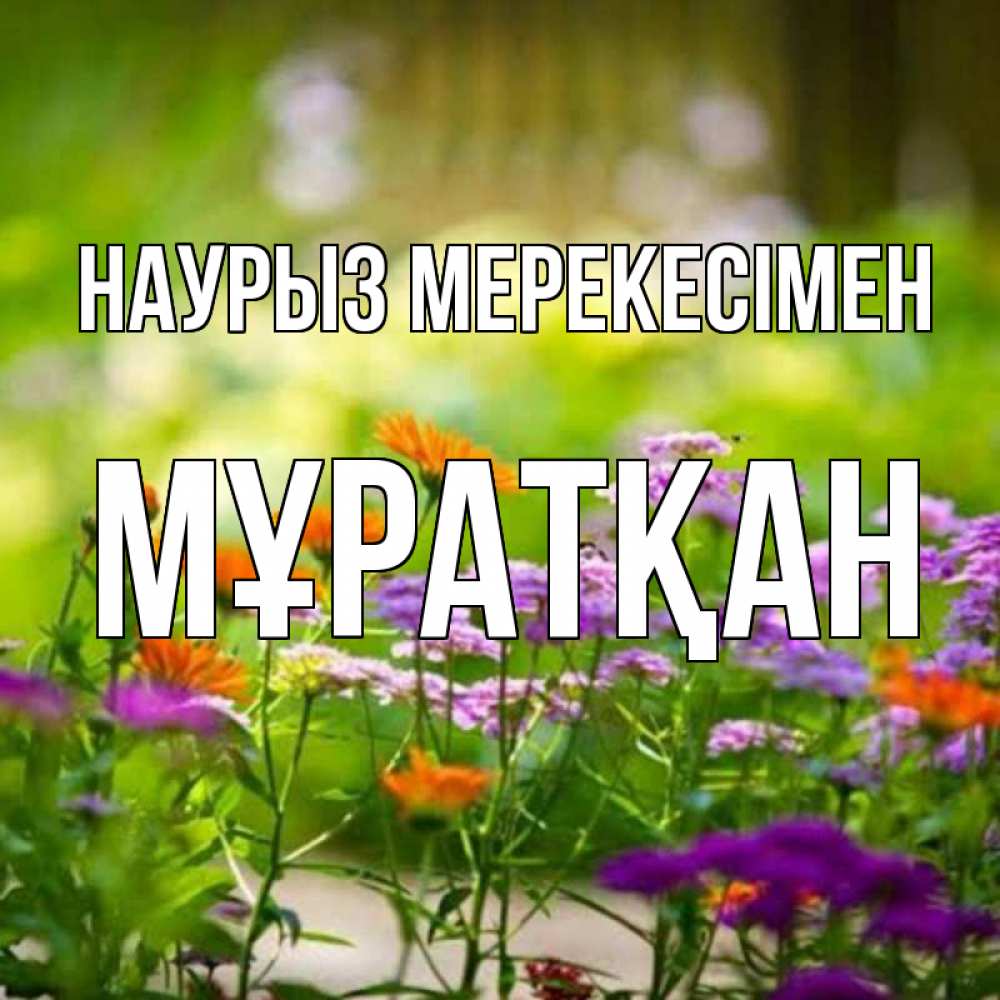 Күн сайын ашық хат с именем, Мұратқан Наурыз мерекесімен цветы Онлайн тегін жүктеп алу тілектері бар керемет карта 