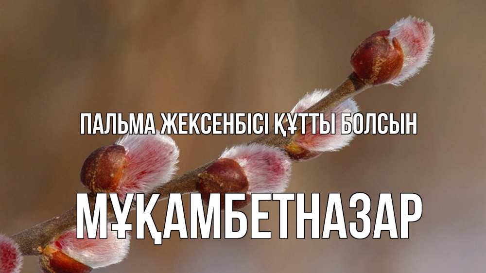 Күн сайын ашық хат с именем, Мұқамбетназар Пальма жексенбісі құтты болсын верба Онлайн тегін жүктеп алу тілектері бар керемет карта 