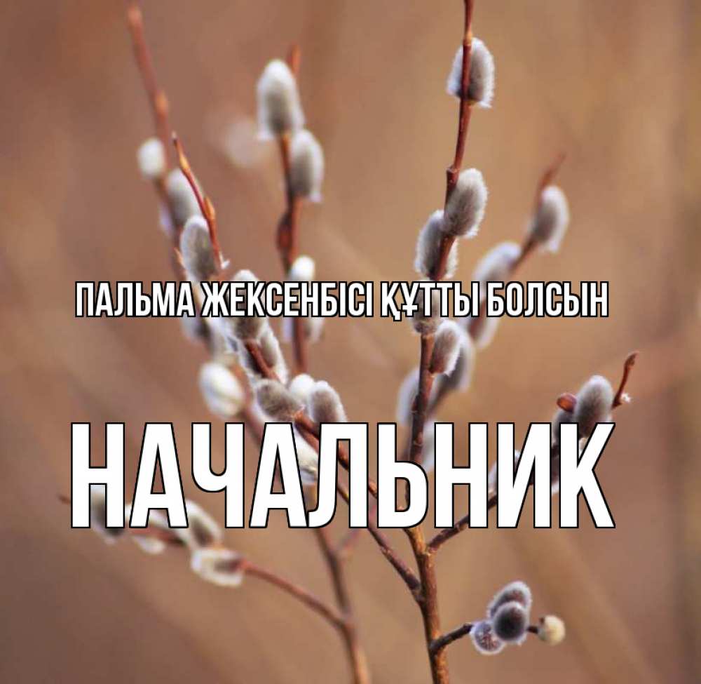Күн сайын ашық хат с именем, Начальник Пальма жексенбісі құтты болсын верба Онлайн тегін жүктеп алу тілектері бар керемет карта 