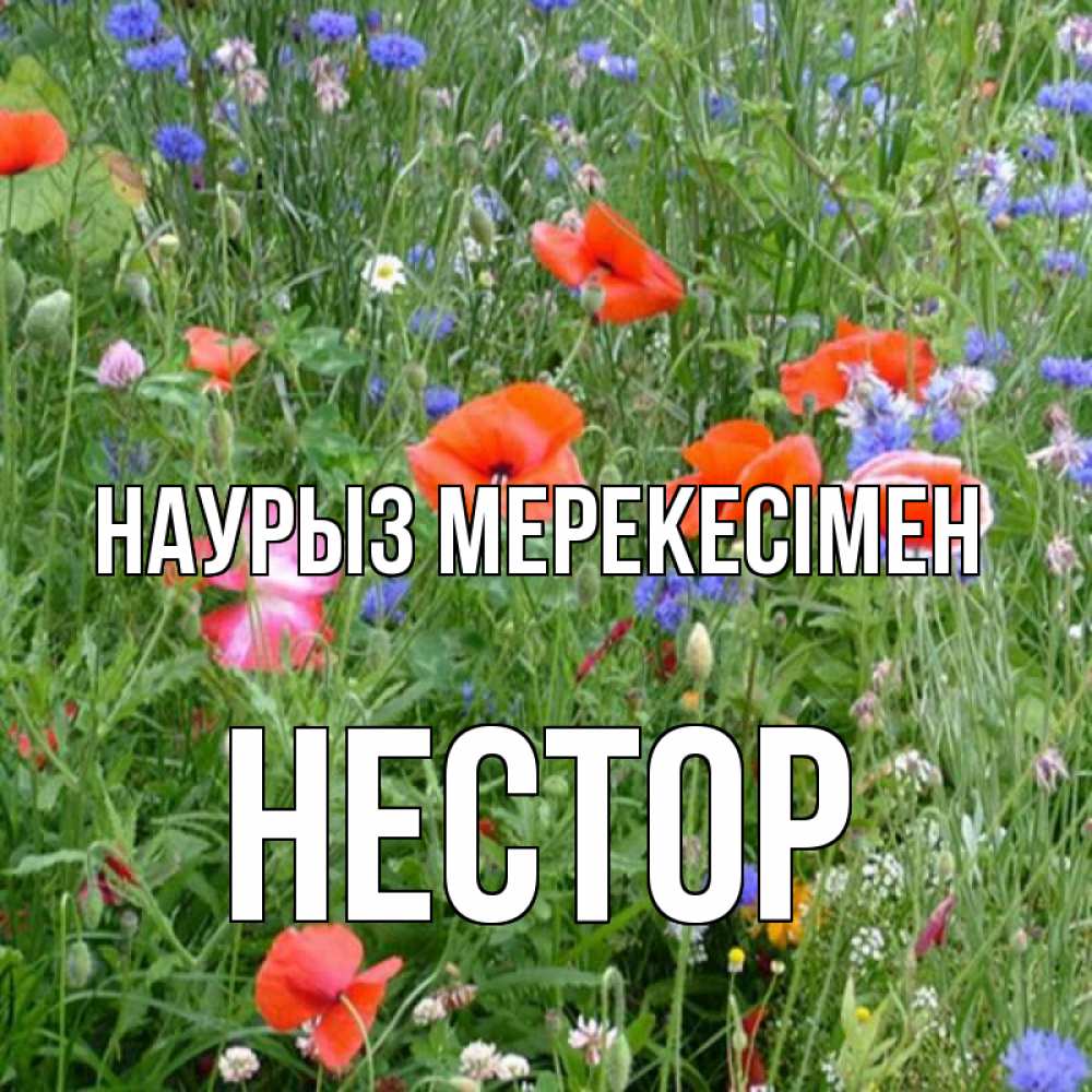 Күн сайын ашық хат с именем, Нестор Наурыз мерекесімен праздник весны наурыз супер открытка Онлайн тегін жүктеп алу тілектері бар керемет карта 