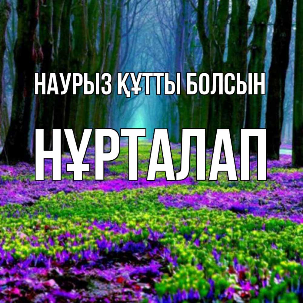 Күн сайын ашық хат с именем, НҰРТАЛАП Наурыз құтты болсын фиолетовые цветы в лесу 1 Онлайн тегін жүктеп алу тілектері бар керемет карта 