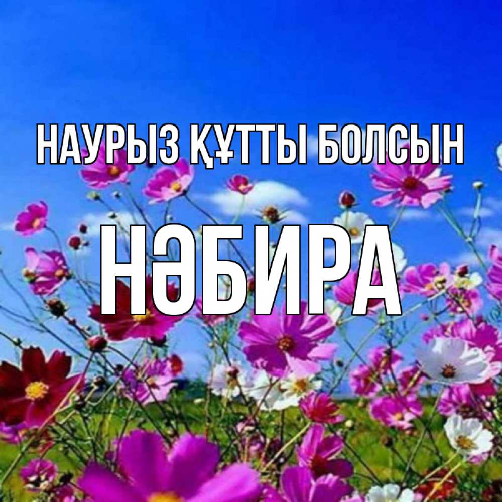 Күн сайын ашық хат с именем, НӘБИРА Наурыз құтты болсын цветы Онлайн тегін жүктеп алу тілектері бар керемет карта 