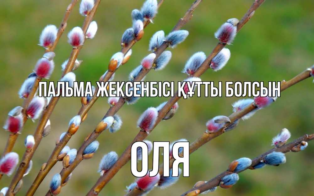 Күн сайын ашық хат с именем, Оля Пальма жексенбісі құтты болсын верба Онлайн тегін жүктеп алу тілектері бар керемет карта 