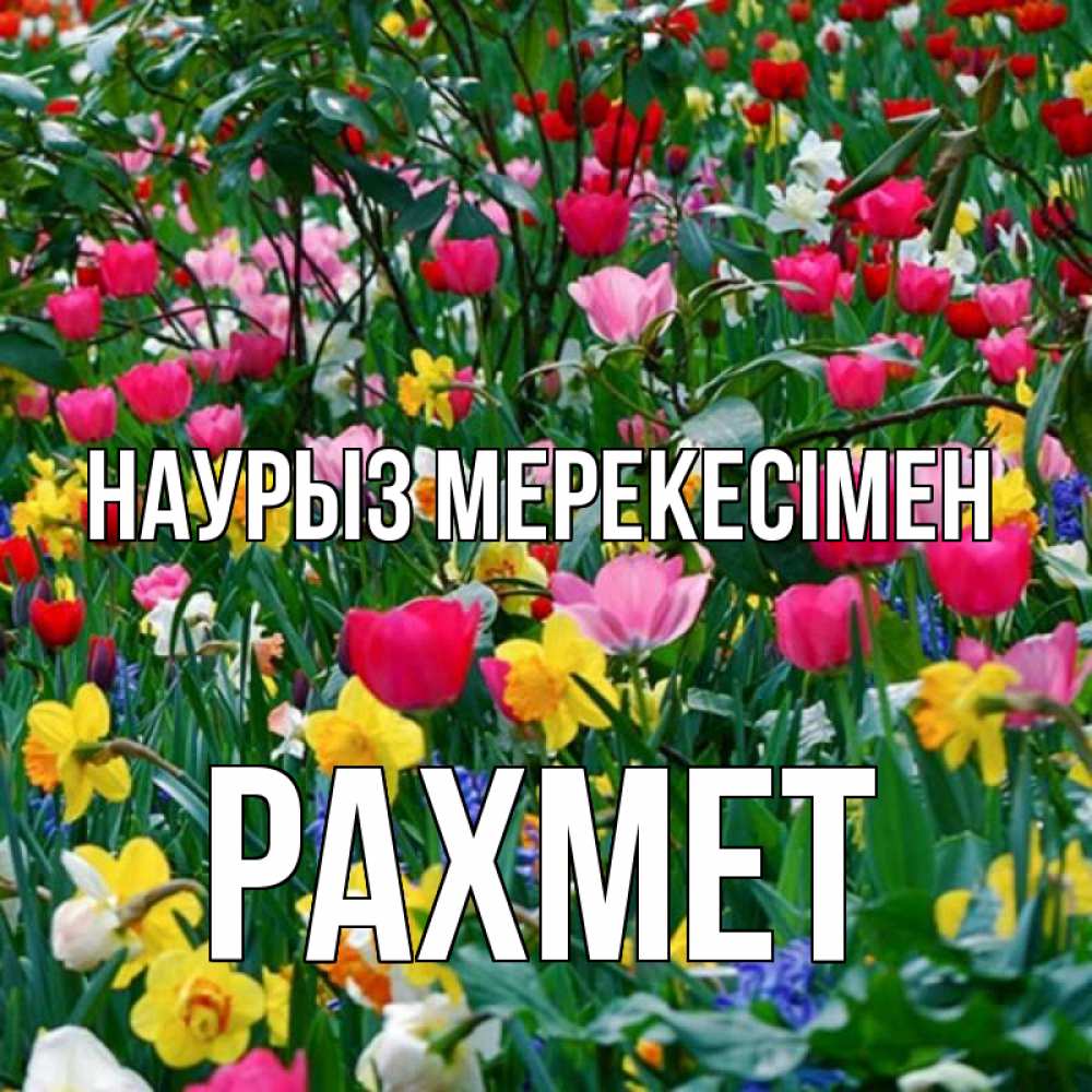 Күн сайын ашық хат с именем, РАХМЕТ Наурыз мерекесімен с наурызом праздником весны поздравления для женщины Онлайн тегін жүктеп алу тілектері бар керемет карта 