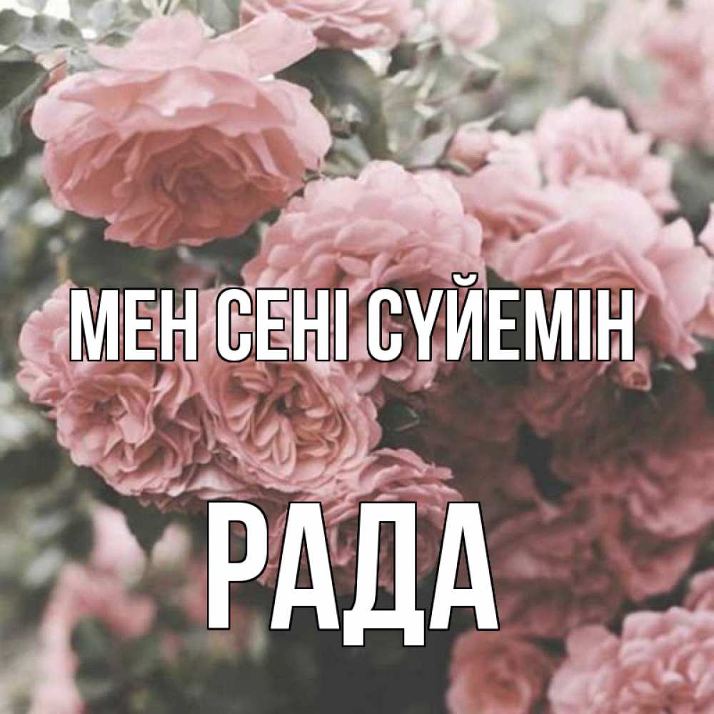 Күн сайын ашық хат с именем, Рада Мен сені сүйемін розы 3 Онлайн тегін жүктеп алу тілектері бар керемет карта 