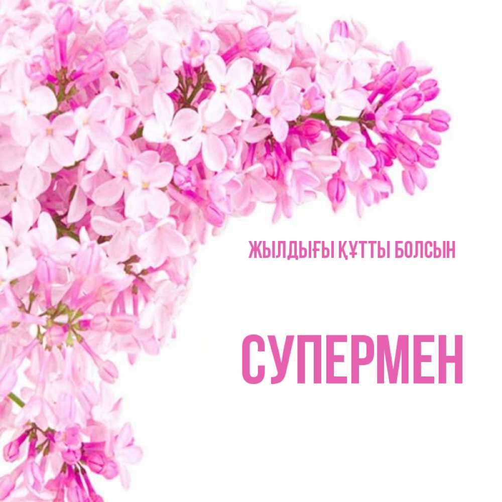 Күн сайын ашық хат с именем, Супермен Жылдығы құтты болсын Сирень на белом фоне Онлайн тегін жүктеп алу тілектері бар керемет карта 