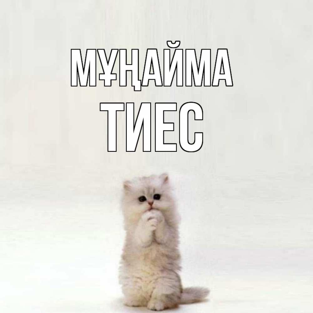 Күн сайын ашық хат с именем, ТИЕС Мұңайма грустный кот Онлайн тегін жүктеп алу тілектері бар керемет карта 