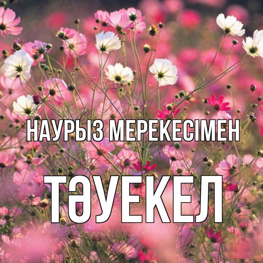 Күн сайын ашық хат с именем, ТӘУЕКЕЛ Наурыз мерекесімен красиво 1 Онлайн тегін жүктеп алу тілектері бар керемет карта 