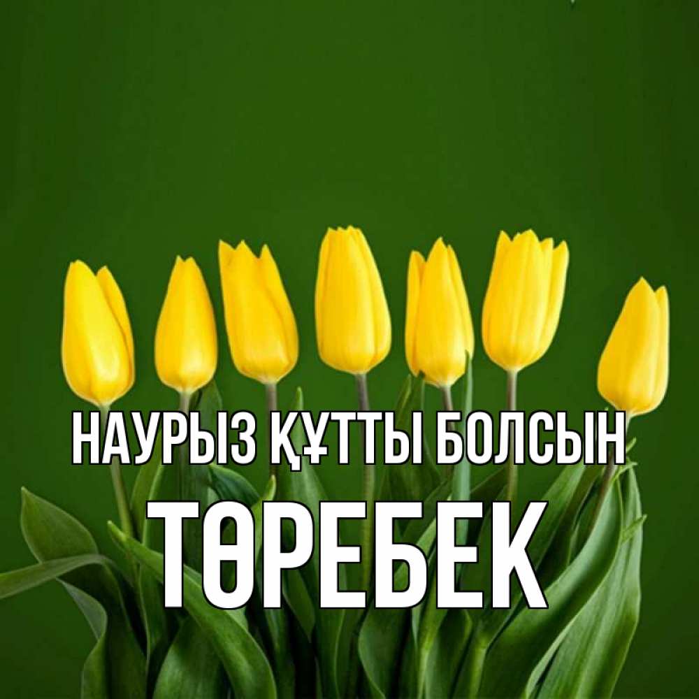 Күн сайын ашық хат с именем, ТӨРЕБЕК Наурыз құтты болсын желтого цвета 3 Онлайн тегін жүктеп алу тілектері бар керемет карта 