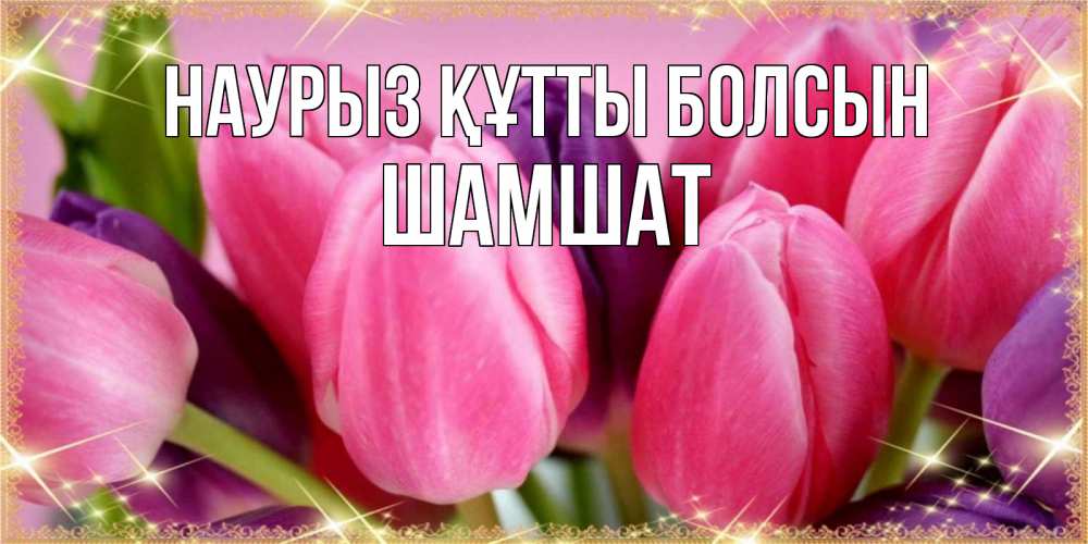 Күн сайын ашық хат с именем, ШАМШАТ Наурыз құтты болсын тюльпаны для женщины на международный женский день Онлайн тегін жүктеп алу тілектері бар керемет карта 