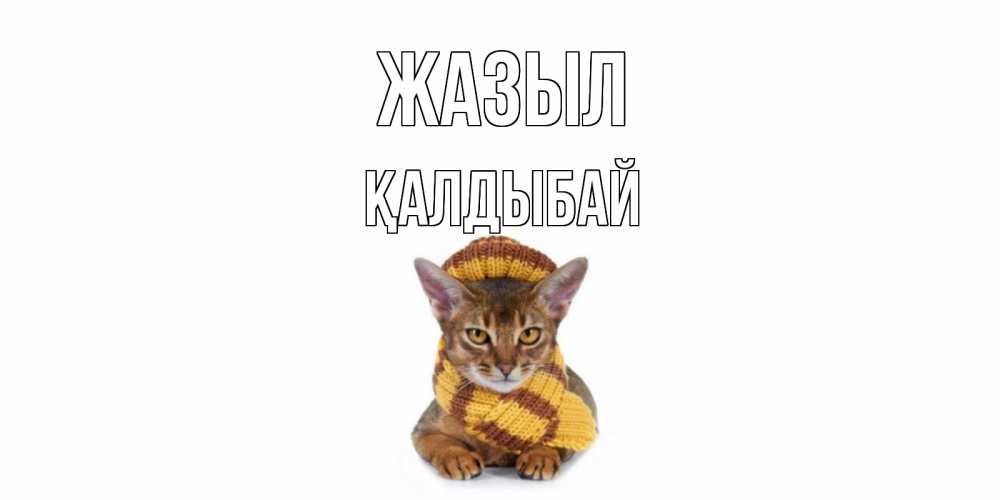 Күн сайын ашық хат с именем, Қалдыбай Жазыл родные не болейте Онлайн тегін жүктеп алу тілектері бар керемет карта 