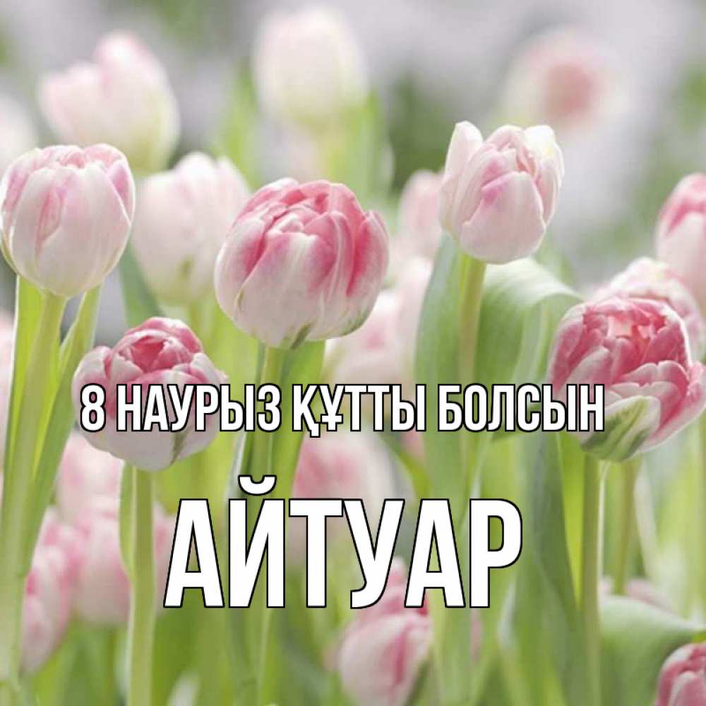 Күн сайын ашық хат с именем, Айтуар 8 наурыз құтты болсын цветы Онлайн тегін жүктеп алу тілектері бар керемет карта 