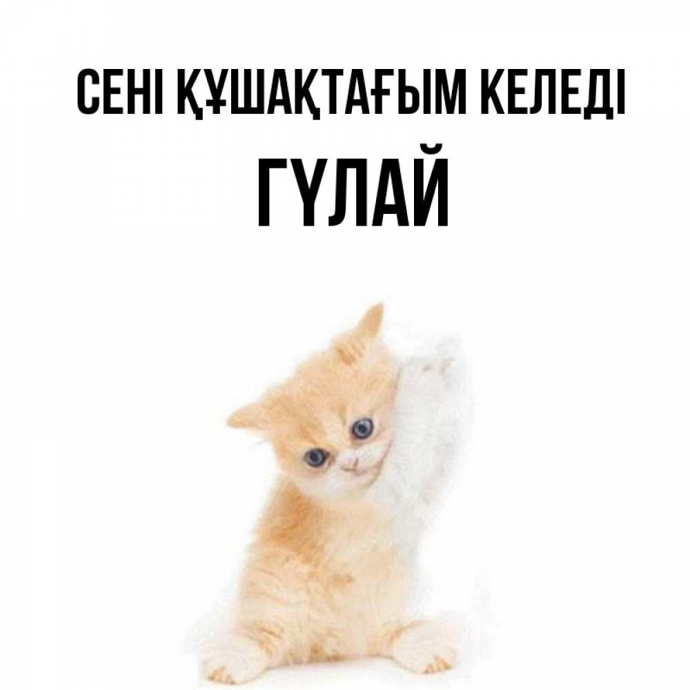 Күн сайын ашық хат с именем, ГҮЛАЙ сені құшақтағым келеді я хочу очень скорее обнимаешек Онлайн тегін жүктеп алу тілектері бар керемет карта 