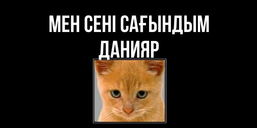 Күн сайын ашық хат с именем, Данияр Мен сені сағындым открытки рыжий котенок скучает по тебе Онлайн тегін жүктеп алу тілектері бар керемет карта 