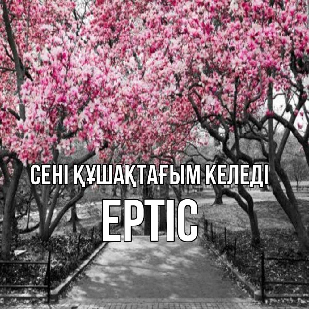 Күн сайын ашық хат с именем, Ертіс сені құшақтағым келеді обработанное фото Онлайн тегін жүктеп алу тілектері бар керемет карта 