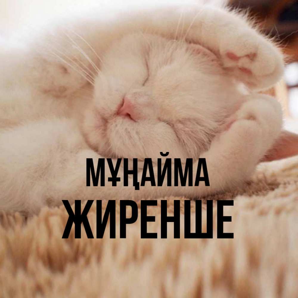 Күн сайын ашық хат с именем, Жиренше Мұңайма Котенок спит Онлайн тегін жүктеп алу тілектері бар керемет карта 