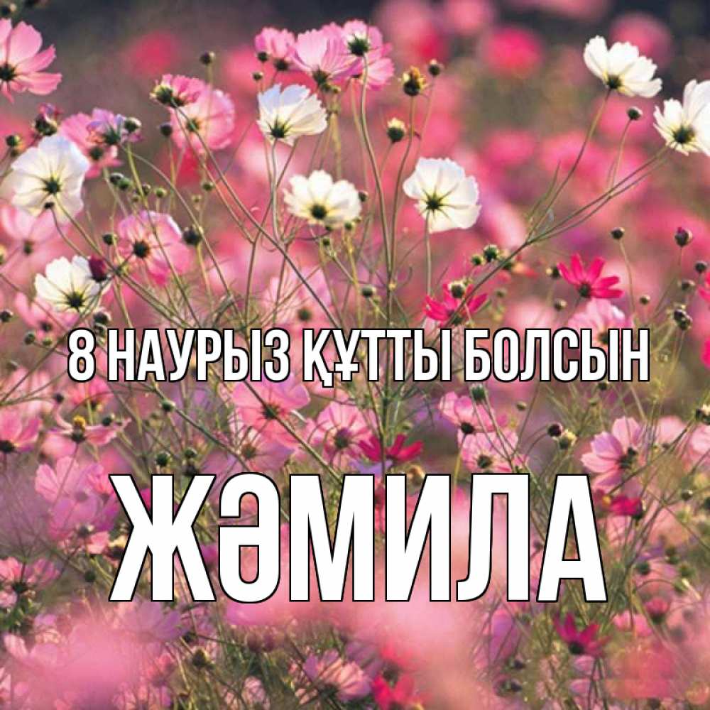 Күн сайын ашық хат с именем, ЖӘМИЛА 8 наурыз құтты болсын красиво 1 Онлайн тегін жүктеп алу тілектері бар керемет карта 