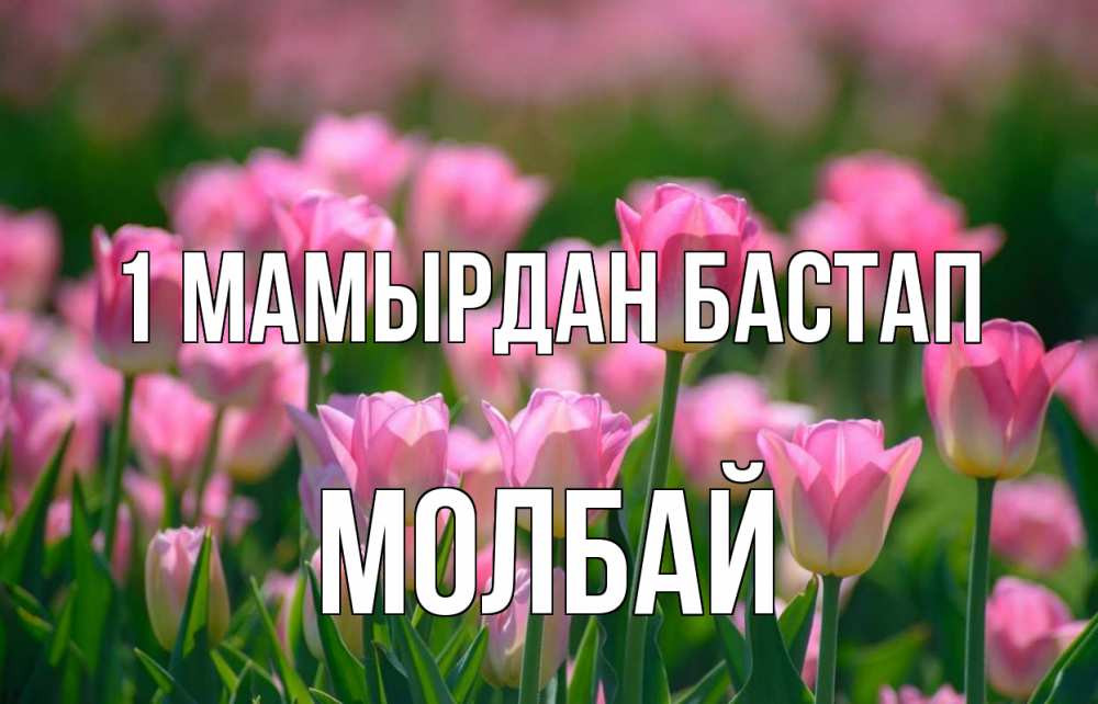 Күн сайын ашық хат с именем, МОЛБАЙ 1 мамырдан бастап С 1 мая Онлайн тегін жүктеп алу тілектері бар керемет карта 