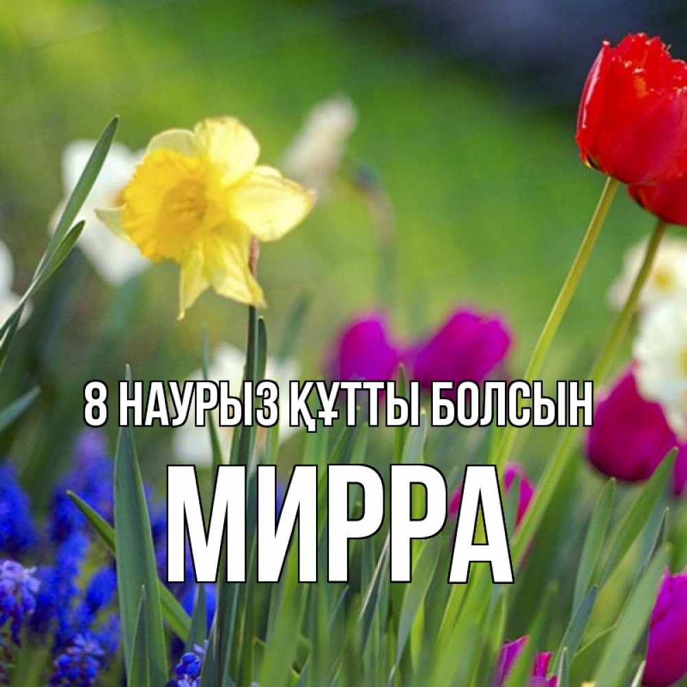Күн сайын ашық хат с именем, Мирра 8 наурыз құтты болсын международный женский день 3 Онлайн тегін жүктеп алу тілектері бар керемет карта 