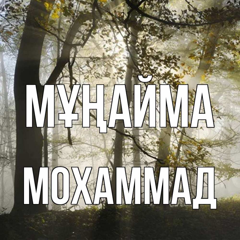 Күн сайын ашық хат с именем, Мохаммад Мұңайма лес и свет Онлайн тегін жүктеп алу тілектері бар керемет карта 