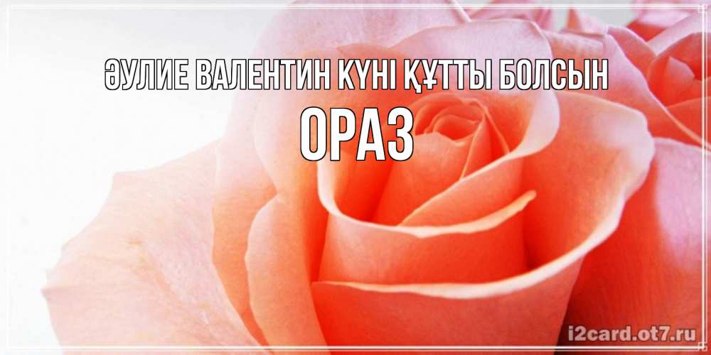 Күн сайын ашық хат с именем, ОРАЗ Әулие Валентин күні құтты болсын открытка на день Святого Валентина с розовой розой Онлайн тегін жүктеп алу тілектері бар керемет карта 