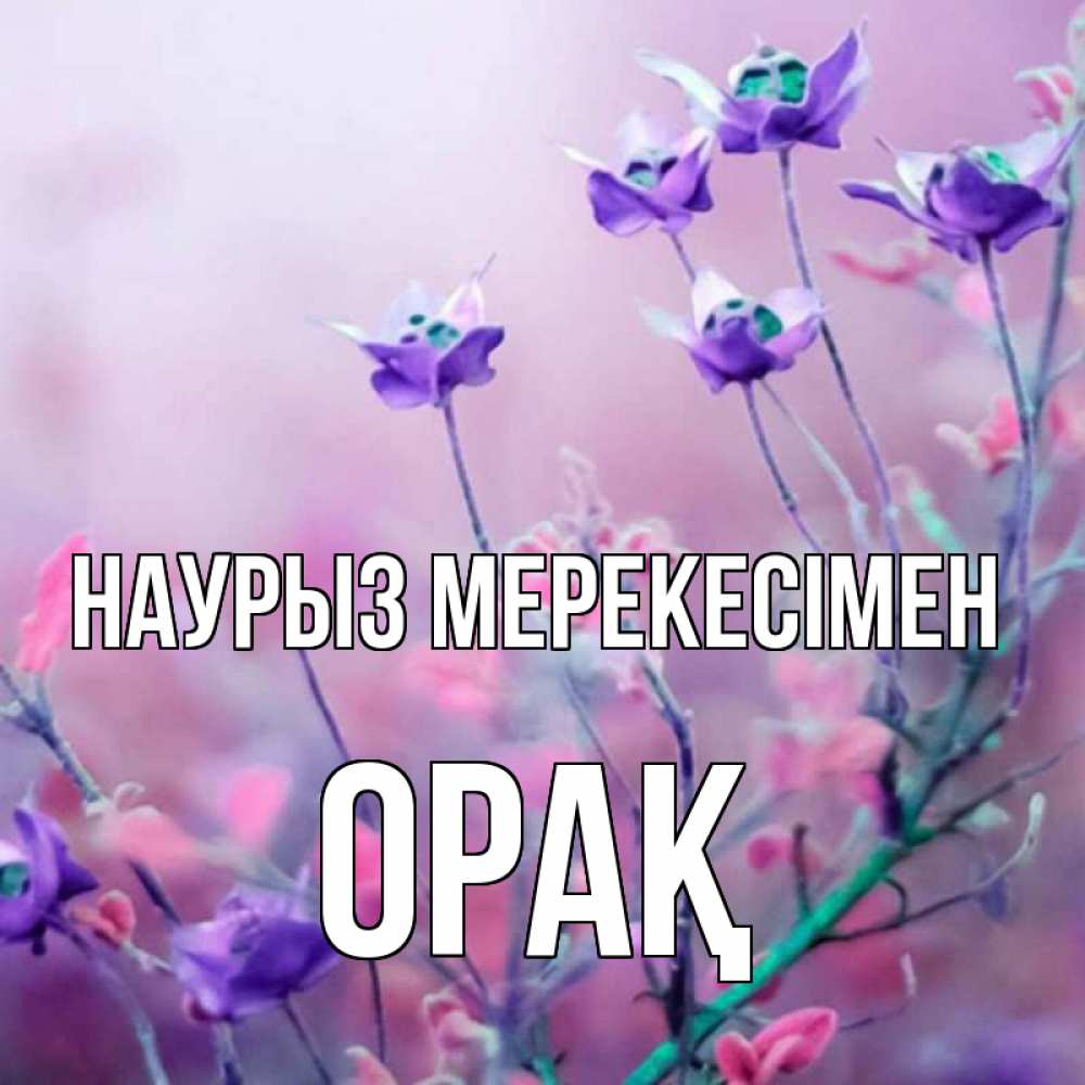 Күн сайын ашық хат с именем, ОРАҚ Наурыз мерекесімен международный женский день 2 Онлайн тегін жүктеп алу тілектері бар керемет карта 