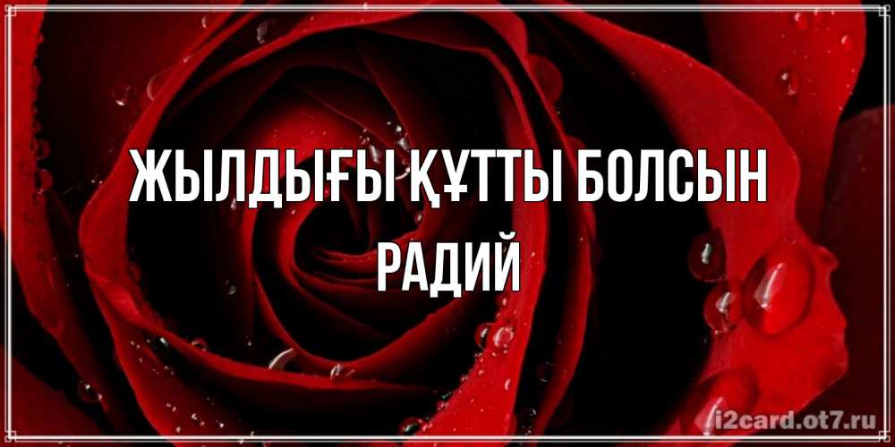 Күн сайын ашық хат с именем, Радий Жылдығы құтты болсын крупная бордовая роза Онлайн тегін жүктеп алу тілектері бар керемет карта 