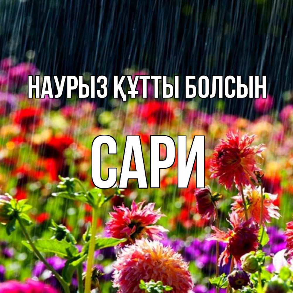 Күн сайын ашық хат с именем, САРИ Наурыз құтты болсын цветы под дождиком к наурызу Онлайн тегін жүктеп алу тілектері бар керемет карта 