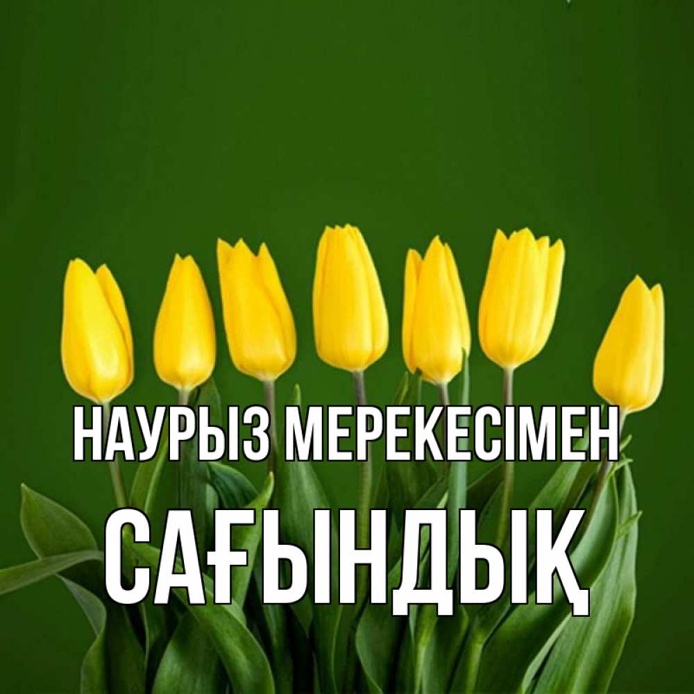 Күн сайын ашық хат с именем, САҒЫНДЫҚ Наурыз мерекесімен желтого цвета 3 Онлайн тегін жүктеп алу тілектері бар керемет карта 