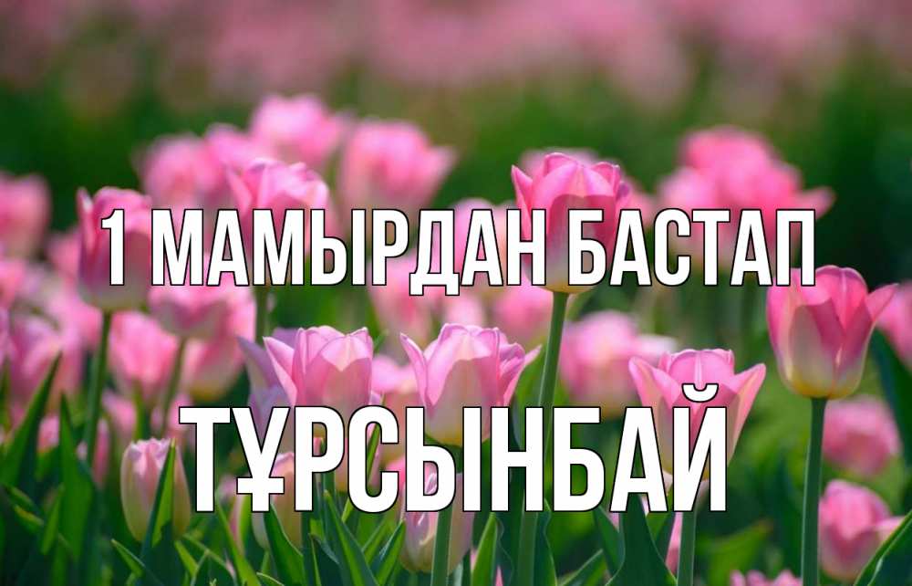 Күн сайын ашық хат с именем, ТҰРСЫНБАЙ 1 мамырдан бастап С 1 мая Онлайн тегін жүктеп алу тілектері бар керемет карта 