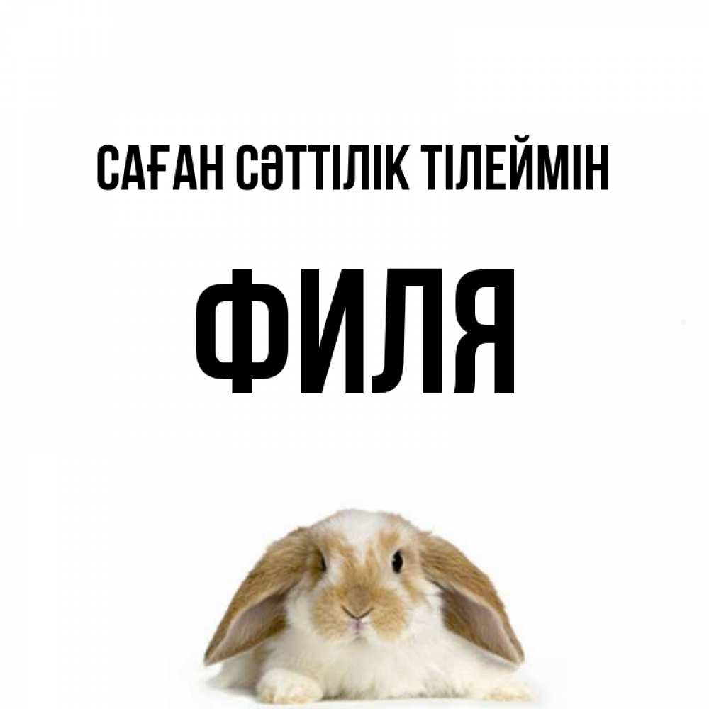Күн сайын ашық хат с именем, Филя Саған сәттілік тілеймін открытки с произвольным текстом который можно вставить в открытку и создать ее самостоятельно бесплатно онлайн Онлайн тегін жүктеп алу тілектері бар керемет карта 