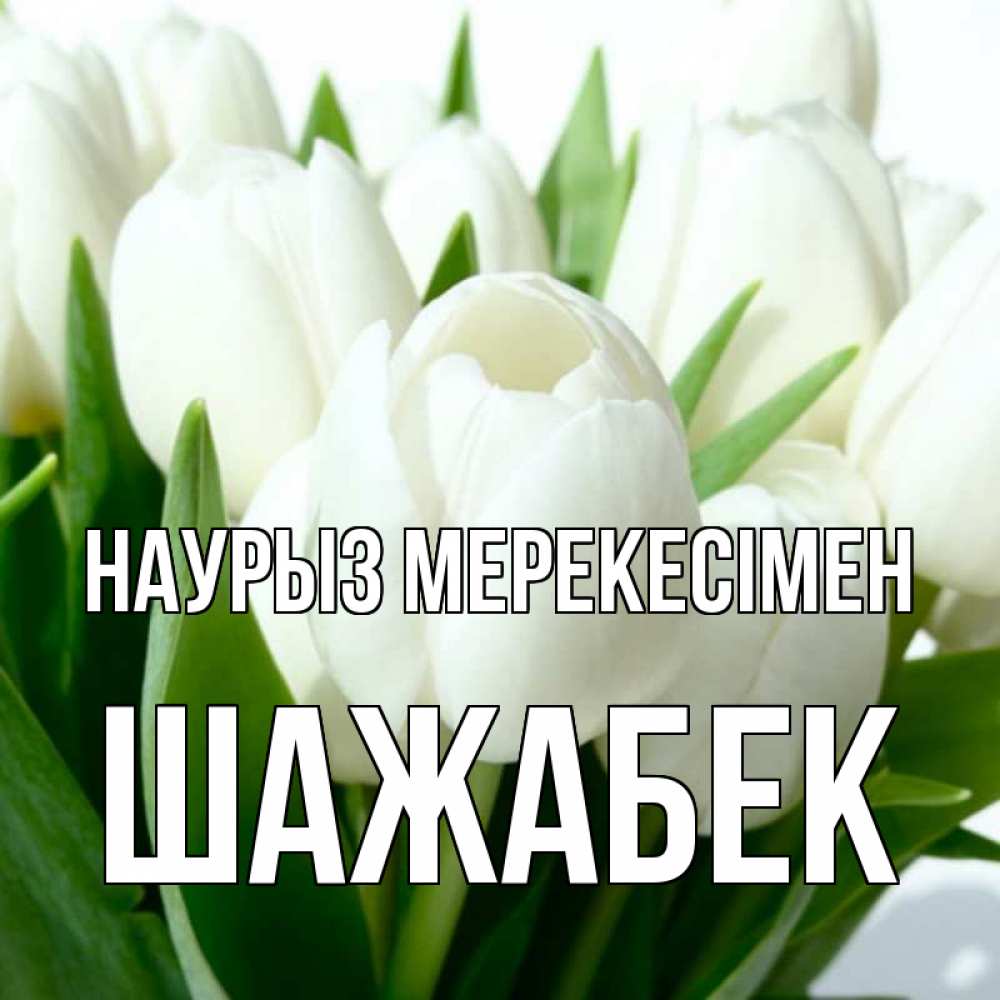 Күн сайын ашық хат с именем, ШАЖАБЕК Наурыз мерекесімен цветы Онлайн тегін жүктеп алу тілектері бар керемет карта 