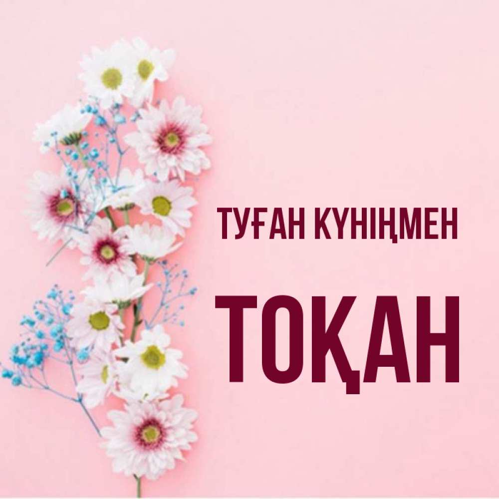 Күн сайын ашық хат с именем, ТОҚАН Туған күніңмен Родная моя с днем рождения тебя картинка с цветами белыми и голубыми Онлайн тегін жүктеп алу тілектері бар керемет карта 