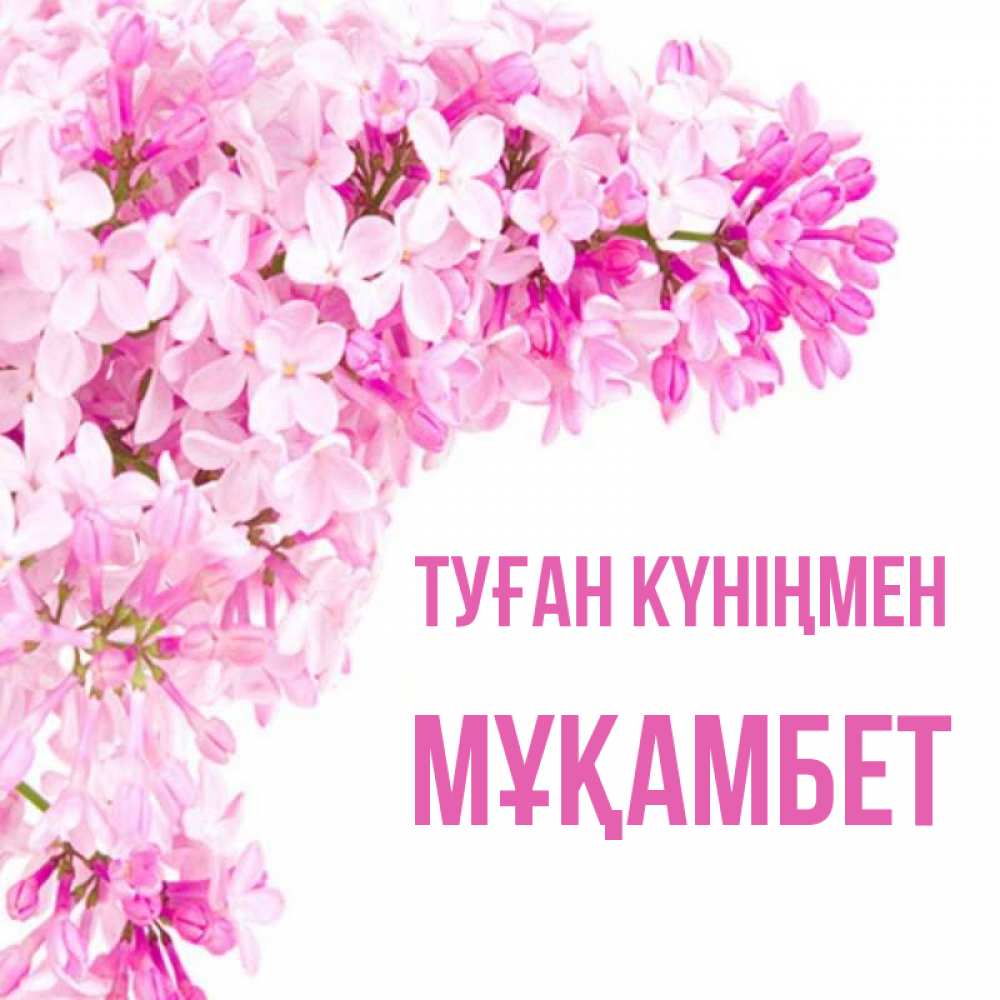 Күн сайын ашық хат с именем, МҰҚАМБЕТ Туған күніңмен Сирень на белом фоне Онлайн тегін жүктеп алу тілектері бар керемет карта 