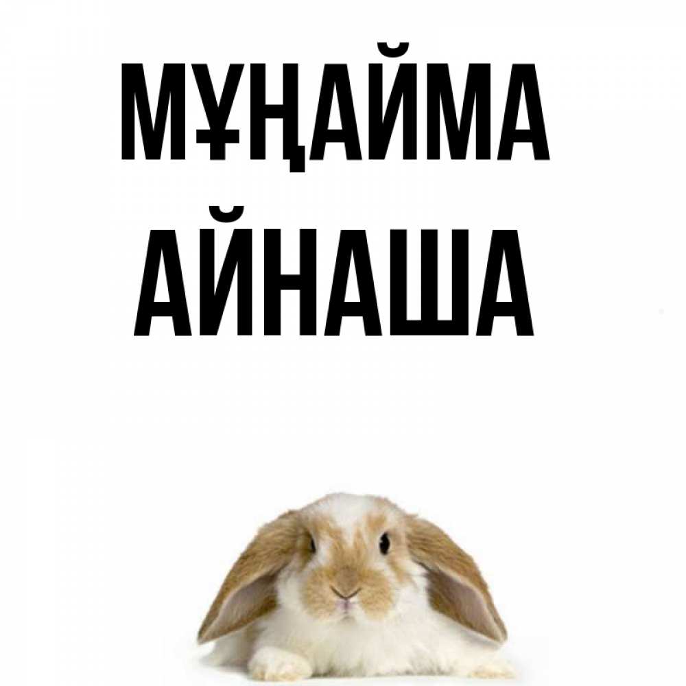 Күн сайын ашық хат с именем, АЙНАША Мұңайма коричнево белый заяц с большими ушками Онлайн тегін жүктеп алу тілектері бар керемет карта 