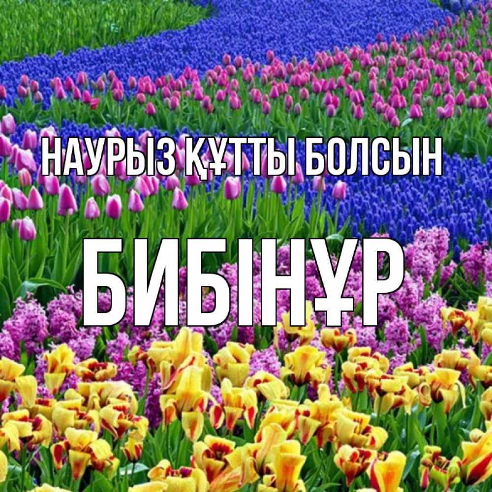Күн сайын ашық хат с именем, БИБІНҰР Наурыз құтты болсын цветы Онлайн тегін жүктеп алу тілектері бар керемет карта 