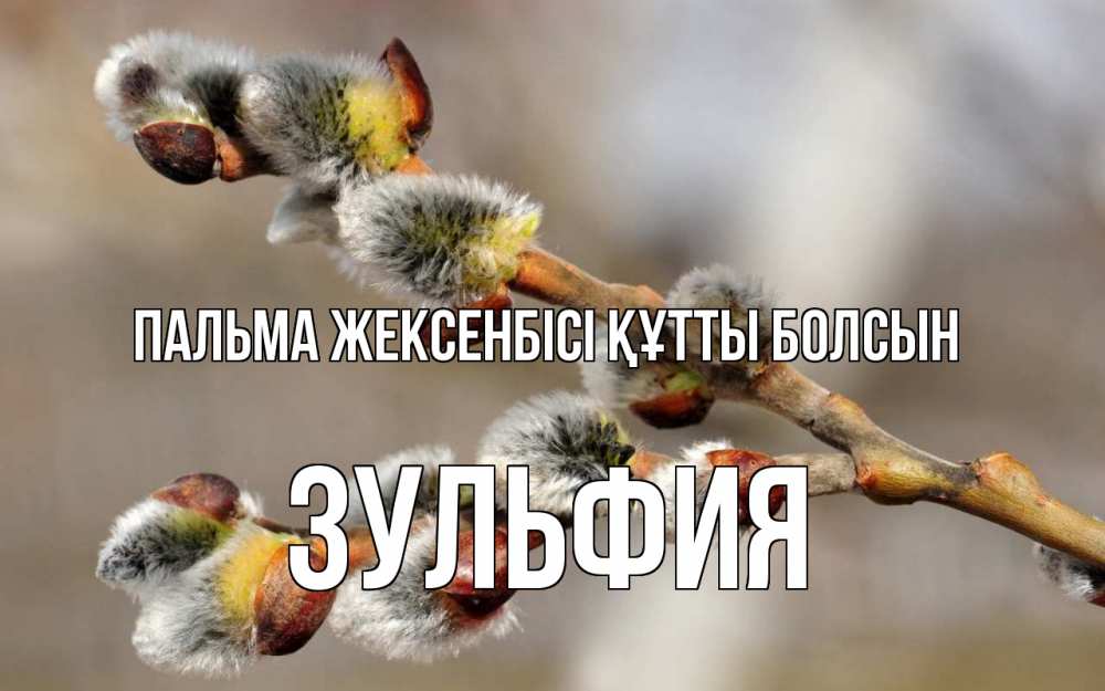 Картинка Пальма жексенбісі құтты болсын, Зульфия