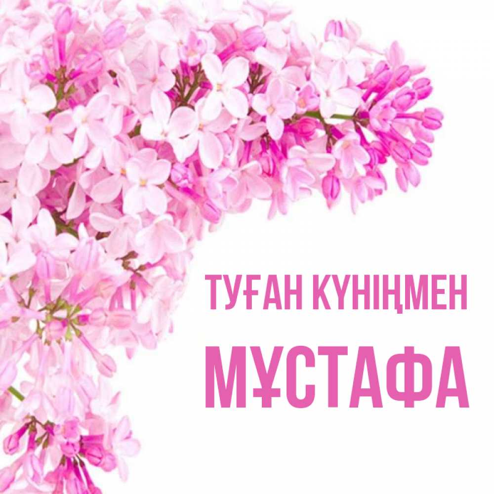 Күн сайын ашық хат с именем, МҰСТАФА Туған күніңмен Сирень на белом фоне Онлайн тегін жүктеп алу тілектері бар керемет карта 